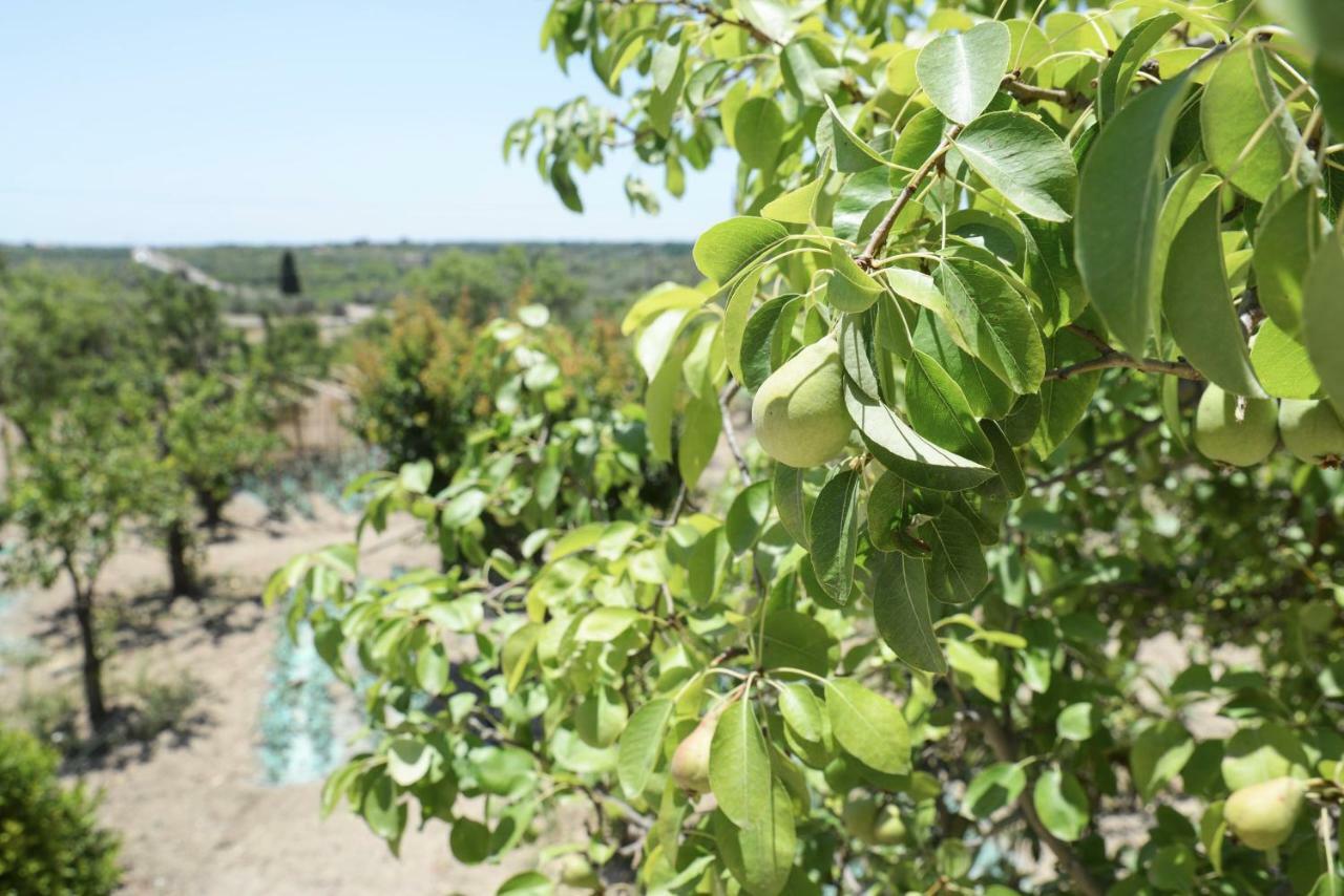 منزل الضيف نوتو  في Jardinu المظهر الخارجي الصورة