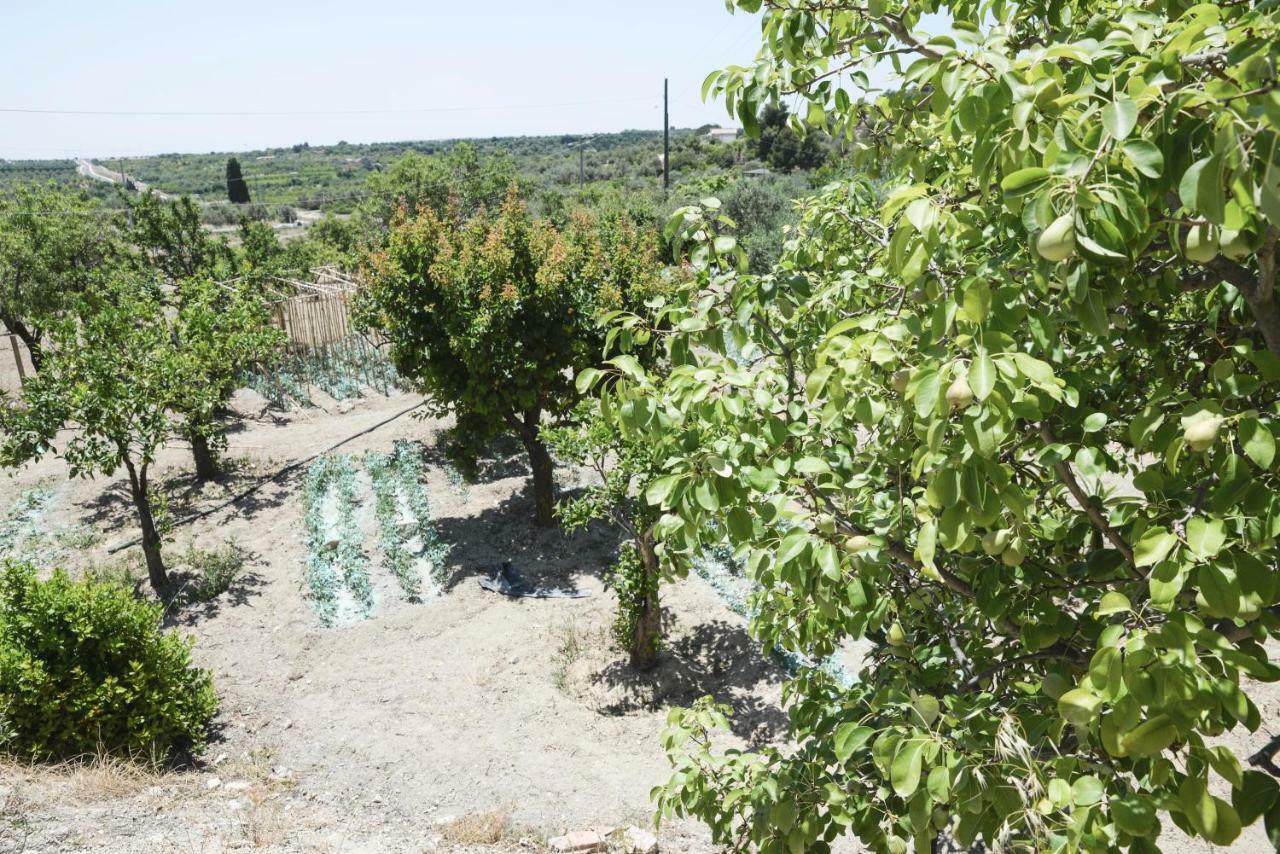منزل الضيف نوتو  في Jardinu المظهر الخارجي الصورة