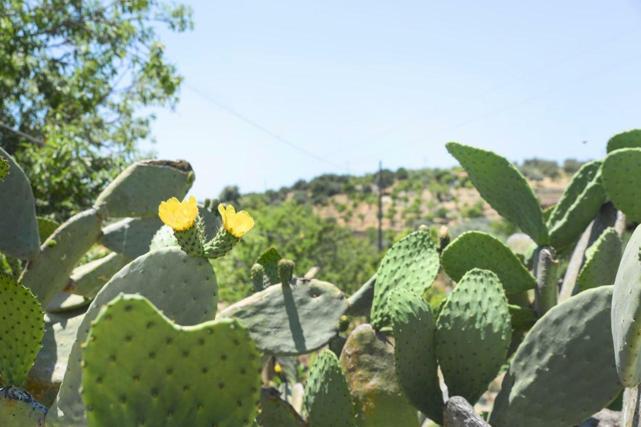 منزل الضيف نوتو  في Jardinu المظهر الخارجي الصورة